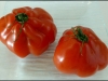 A 'Cœur-de-bœuf' tomato. We first encountered them in Barcelona.